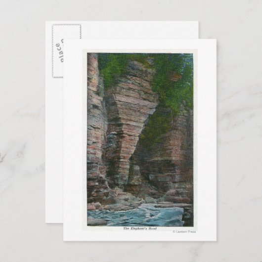 象の頭の表示 ポストカード (正面/裏面)