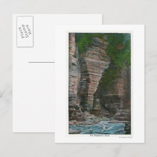 象の頭の表示 ポストカード (正面/裏面)