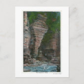 象の頭の表示 ポストカード (正面)