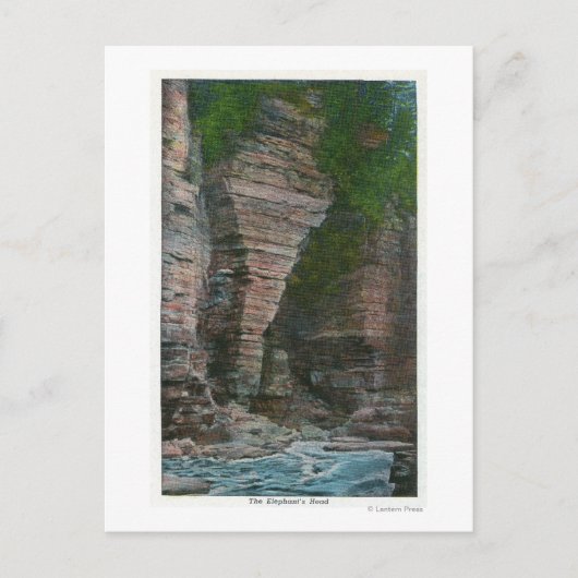 象の頭の表示 ポストカード (正面)