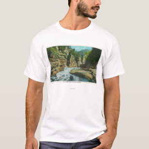 象の頭部の近くのAusableの溝の眺め Tシャツ