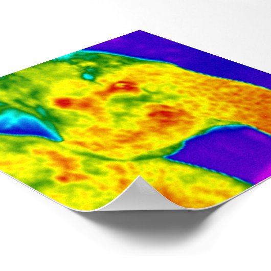 象の頭 ポスター (角)