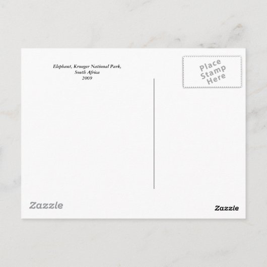 象の食べ物 ポストカード (裏面)