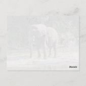 象はがき ポストカード (裏面)