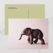 象はがき ポストカード (正面/裏面)