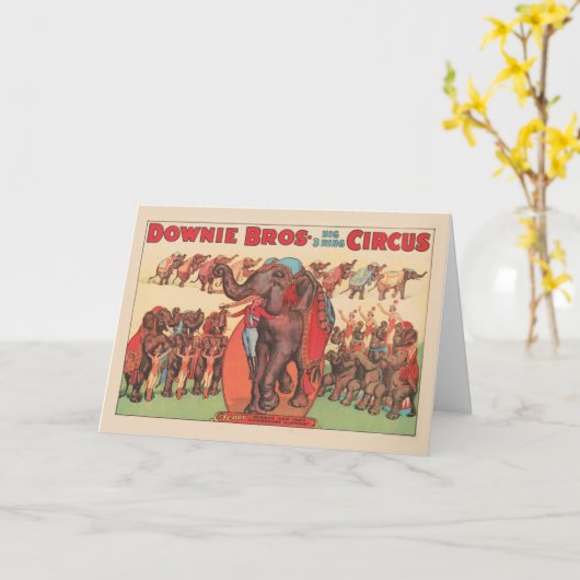 象を女性とトレーナーと一緒に演奏。 カード (黄色い花)