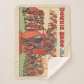 象を女性とトレーナーと一緒に演奏。 シェルパブランケット (正面)