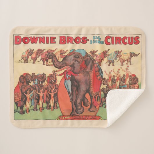 象を女性とトレーナーと一緒に演奏。 シェルパブランケット (正面(横))