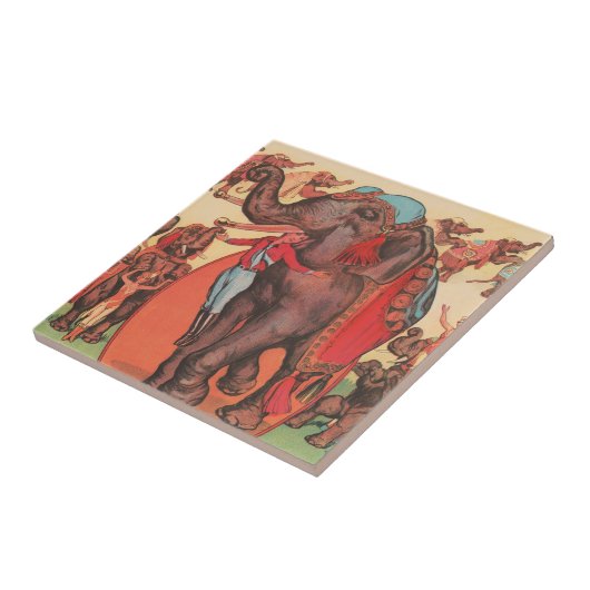 象を女性とトレーナーと一緒に演奏。 タイル (側面)