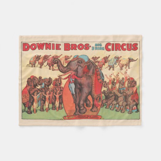 象を女性とトレーナーと一緒に演奏。 フリースブランケット (正面(横))