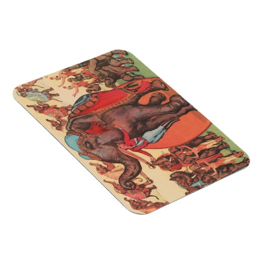 象を女性とトレーナーと一緒に演奏。 マグネット (右側)