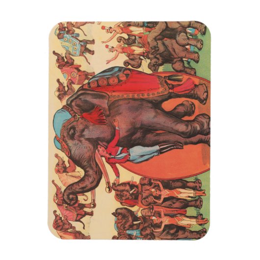 象を女性とトレーナーと一緒に演奏。 マグネット (縦)