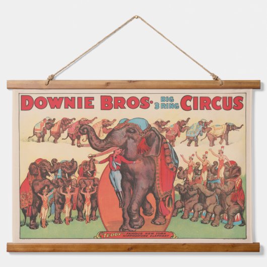 象を女性とトレーナーと一緒に演奏。 吊り下げ型タペストリー (正面)