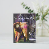 象カラフルの滝 ポストカード (スタンド正面)