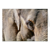 象カード (正面横)