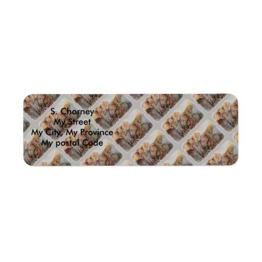 象ファミリー差出人住所 ラベル (正面)