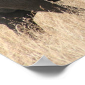 象マサイ ポスター (角)