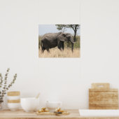 象マサイ ポスター (キッチン)