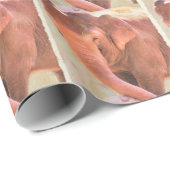 象ラッピング用プレイタイム紙 ラッピングペーパー (ロールコーナー)