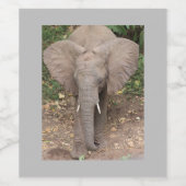 象ワインラベル ワインラベル (シングルラベル)