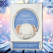 象初めてのクリスマスブルー男の赤ちゃん誕生統計 シルバープレートバナーオーナメント