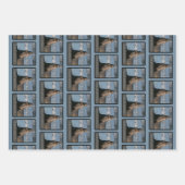 象印承認包装紙（ミックス） ラッピングペーパーシート (正面2)