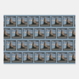 象印承認包装紙（ミックス） ラッピングペーパーシート