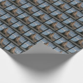 象印承認包装紙 ラッピングペーパー (角)