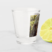 象威厳のある象 ショットグラス (左)