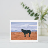 象徴的な黒いアイスランドの馬はがき ポストカード (スタンド正面)