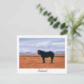 象徴的な黒いアイスランドの馬はがき ポストカード (スタンド正面)