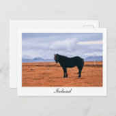 象徴的な黒いアイスランドの馬はがき ポストカード (正面/裏面)