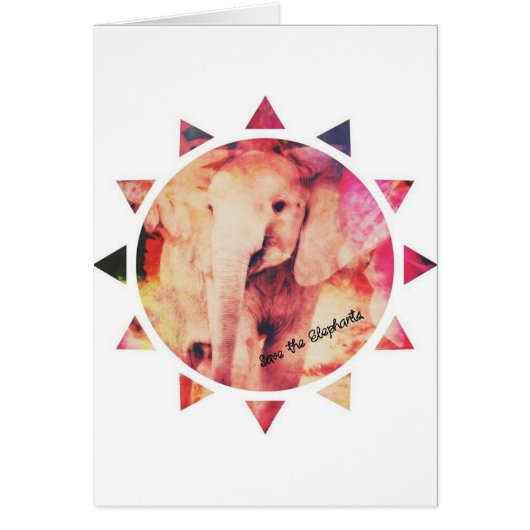 象救象ベビー象サンシャイン (正面)