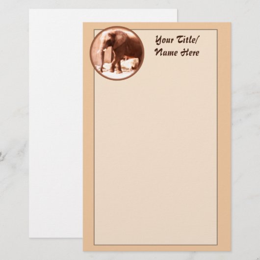 象文具 (正面/裏面)