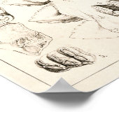 象歯獣医歯解剖学プリント ポスター (角)