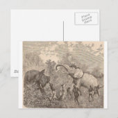 象狩り ポストカード (正面/裏面)