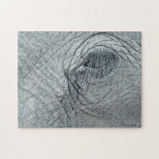 象眼 ジグソーパズル (横)