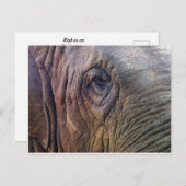 象眼 ポストカード (正面/裏面)