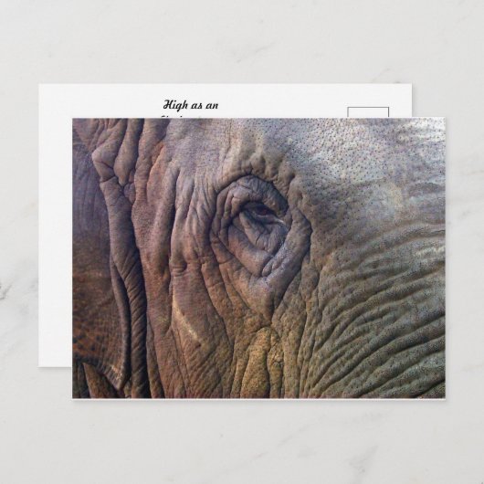 象眼 ポストカード (正面/裏面)