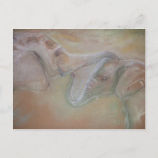 象絵はがき ポストカード