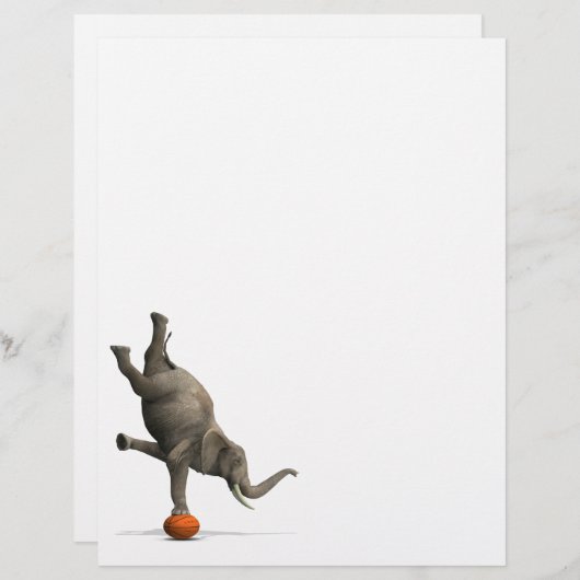 象芸術的 (正面/裏面)