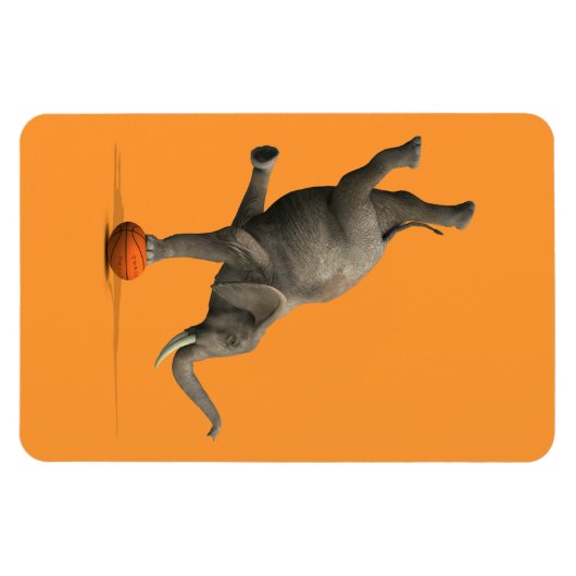 象芸術的 マグネット (横)