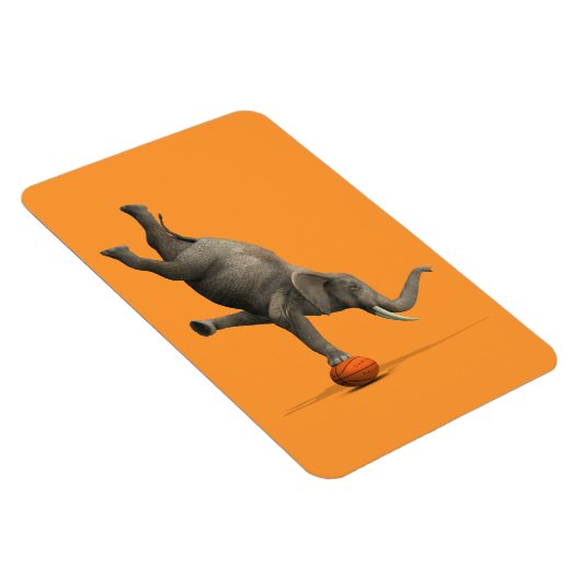 象芸術的 マグネット (右側)