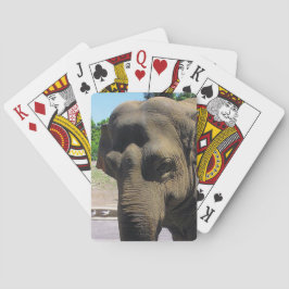 象遊のカード トランプ