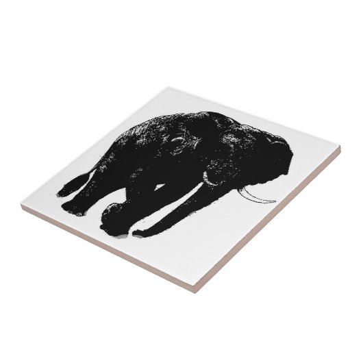 象陶瓦 タイル (側面)