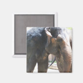 象顔 マグネット (正面/裏面)