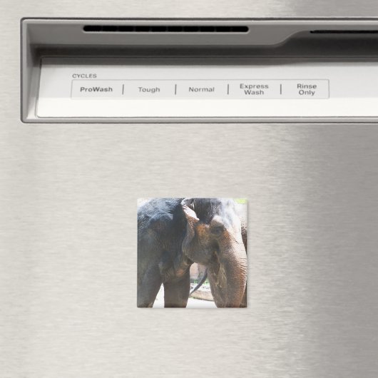 象顔 マグネット (インサイチュ (食洗機))