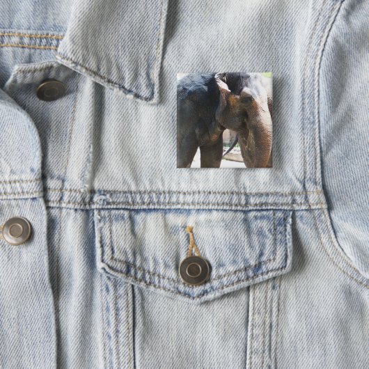 象顔 缶バッジ (インサイチュ)