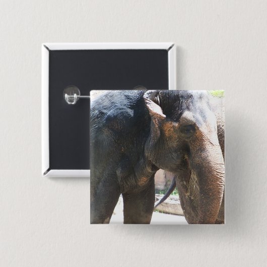 象顔 缶バッジ (正面&裏面)