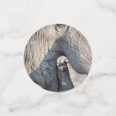 象食べ物を与えの コンフェッティ (スモール正面)